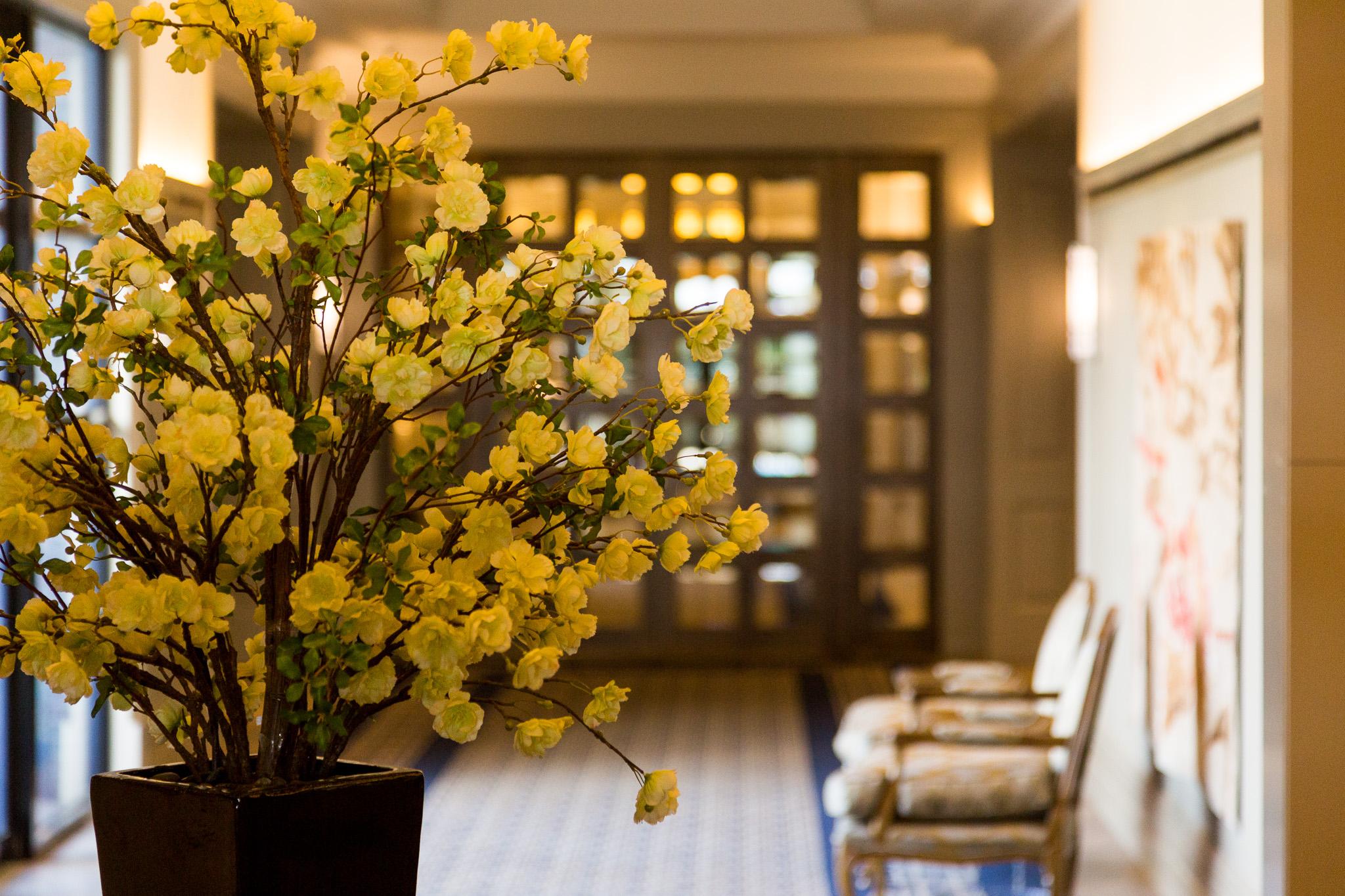 Gorge Aparthotel